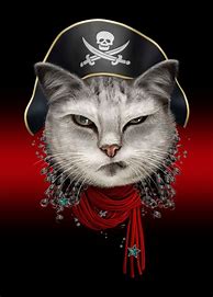 Image result for Pirate Cat Art