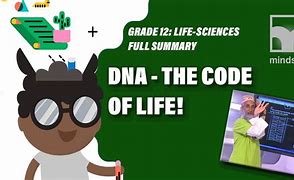 Image result for Grade 12 Life Sciences DNA Notes