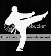 Image result for Martial Arts Silhouette