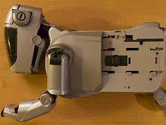 Image result for Aibo 111