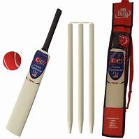 Image result for Kids Cricket Set