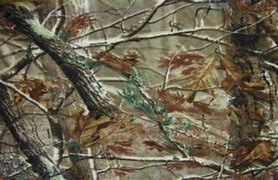 Image result for Realtree Camo Desktop