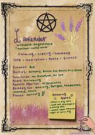 Image result for Wicca Nature