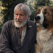 Image result for Harrison Ford Dog Movie