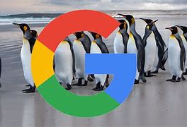 Image result for google pic of penguin