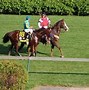 Image result for Kentucky Derby Horse Race