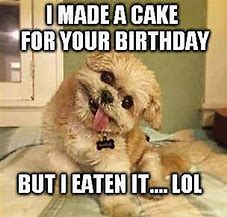Image result for Happy Birthday Char Dog
