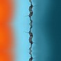 Image result for Galaxy Z-Fold 5 Dex Wallpaper