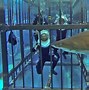 Image result for Sharks in Mall