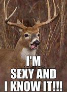 Image result for Deer Hunting Season Meme