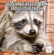 Image result for Advice Animal Memes