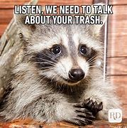 Image result for Realistic Animal Memes