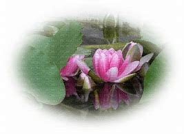 Image result for BP Flower PNG