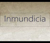Image result for inmundicia