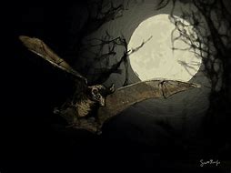 Image result for Full Moon with Bats
