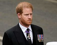 Image result for Prince Harry in Uniform Queens Funeral