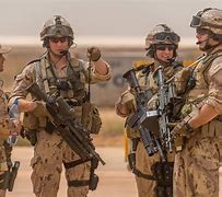 Image result for Canadian Forces Military Police