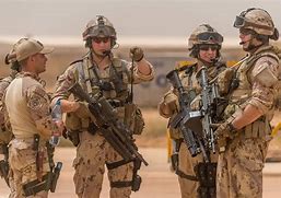 Image result for Canadian Combat Soldiers