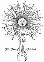 Image result for Native American Sacred Tree