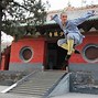 Image result for Deadliest Kung Fu Styles