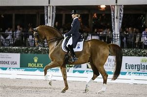 Image result for Classical Dressage