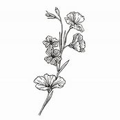 Image result for Black and White Botanical Images