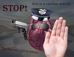 Image result for Stop Meme Guy