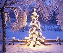 Image result for Christmas Tree Snow Winter Scenes