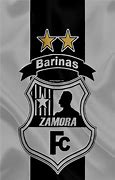 Image result for co_to_za_zamora_barinas