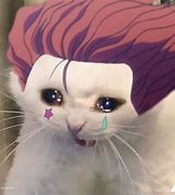 Image result for Raging Cat Meme Anime
