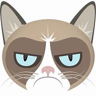 Image result for Grumpy Cat Happy Face