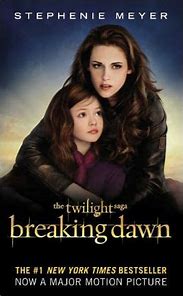 Image result for Breaking Dawn Hardcover
