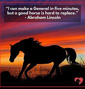 Image result for Quotes About Horses
