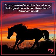 Image result for Smart Horse Quotes