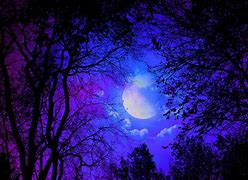 Image result for Beautiful Dark Forest Moon