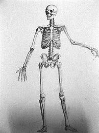 Image result for Halloween Body Drawings
