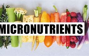 Image result for micronutrients