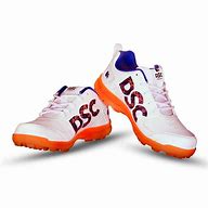 Image result for DSC Cricket Shoes Flipkart
