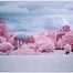 Image result for iPhone Front Camera Infrared Filter 720