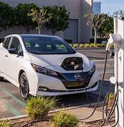Image result for Electric vehicles tax credit