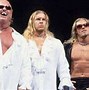 Image result for Thr Brood WWE