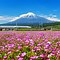 Image result for My View of Mt. Fuji with Snow