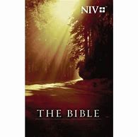 Image result for Case of NIRV Bibles