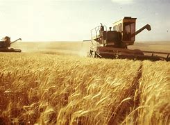 Image result for Farmer Harvest