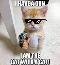 Image result for Cat with a Gat Meme