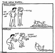 Image result for New Puppy Memes