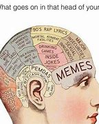 Image result for Brain Anatomy Meme