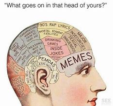 Image result for 3 Brain Meme
