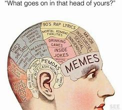 Image result for Your Brain Meme