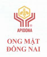 Image result for apidona